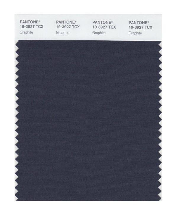 その他 PANTONE for fashion and  COLOR CARD Pantone Smart 19-3927 TCX Color Swatch Card | Graphite | Magazine