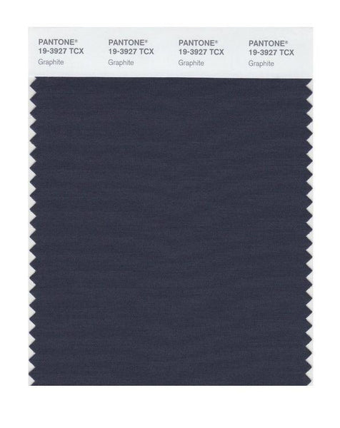 Pantone Smart 19-3927 TCX Color Swatch Card | Graphite | Magazine