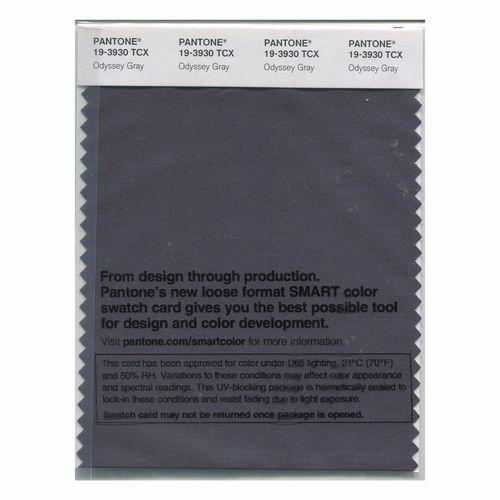 Pantone Smart 19-3930 TCX Color Swatch Card | Odyssey Gray