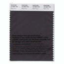 Pantone Smart 19-4003 TCX Color Swatch Card | Black Onyx