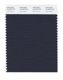 Pantone Smart 19-4009 TCX Color Swatch Card | Outer Space