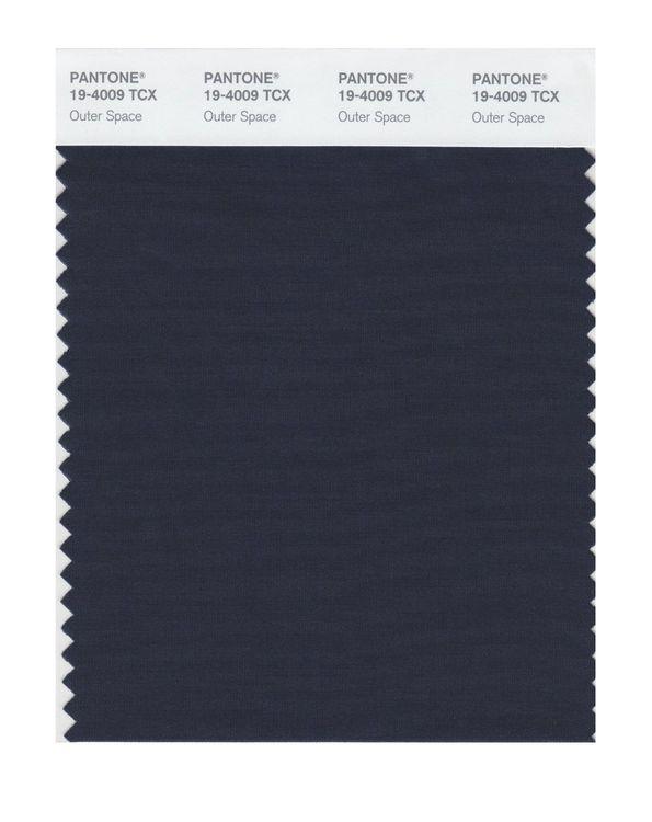 Pantone Smart 19-4009 TCX Color Swatch Card | Outer Space