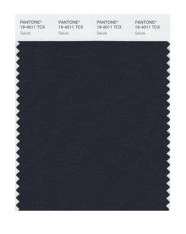 Pantone Smart 19-4011 TCX Color Swatch Card | Salute | Magazine