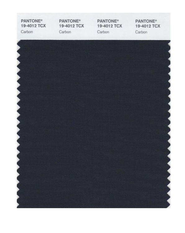 Pantone Smart 19-4012 TCX Color Swatch Card | Carbon