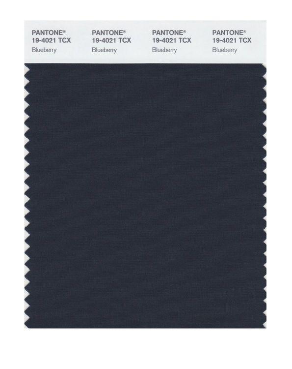 Pantone Smart 19-4021 TCX Color Swatch Card | Blueberry