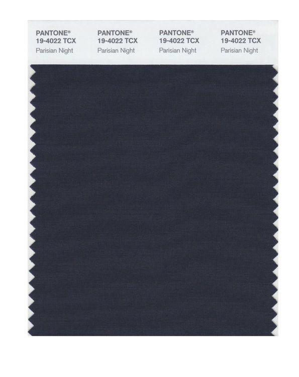 Pantone Smart 19-4022 TCX Color Swatch Card | Parisian Night