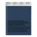 Pantone Smart 19-4120 TCX Color Swatch Card | Blue Opal