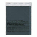 Pantone Smart 19-5030 TCX Color Swatch Card | Sea Moss