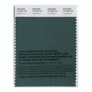 Pantone Smart 19-5230 TCX Color Swatch Card | Forest Biome