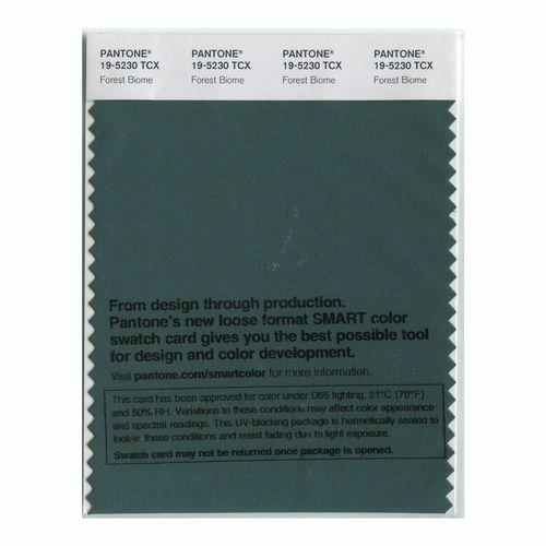 Pantone Smart 19-5230 TCX Color Swatch Card | Forest Biome