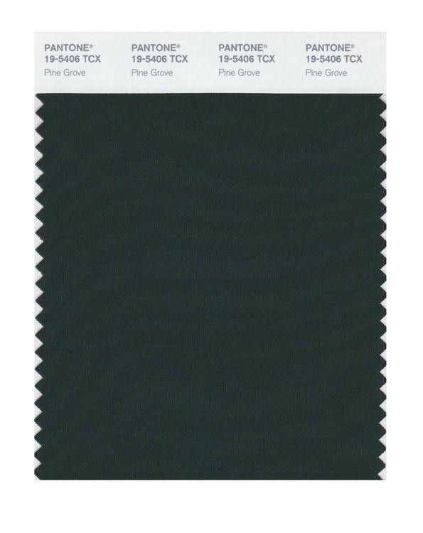 Pantone Smart 19-5406 TCX Color Swatch Card | Pine Grove