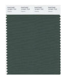 Pantone Smart 19-5621 TCX Color Swatch Card | Cilantro