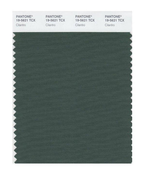 Pantone Smart 19-5621 TCX Color Swatch Card | Cilantro | Magazine