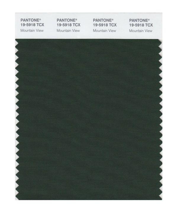 Pantone Smart 19-5918 TCX Color Swatch Card | Mountain View