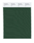 Pantone Smart 19-6050 TCX Color Swatch Card | Eden