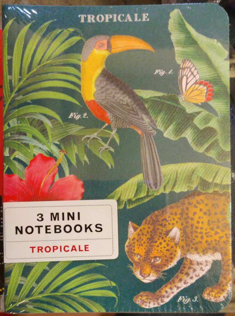 Cavallini & Co. 3 Mini Notebook