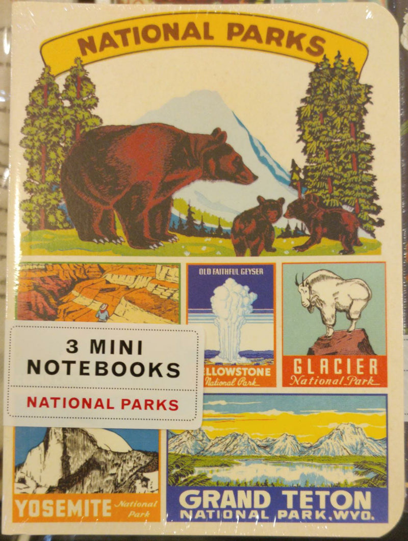 Cavallini & Co. 3 Mini Notebook
