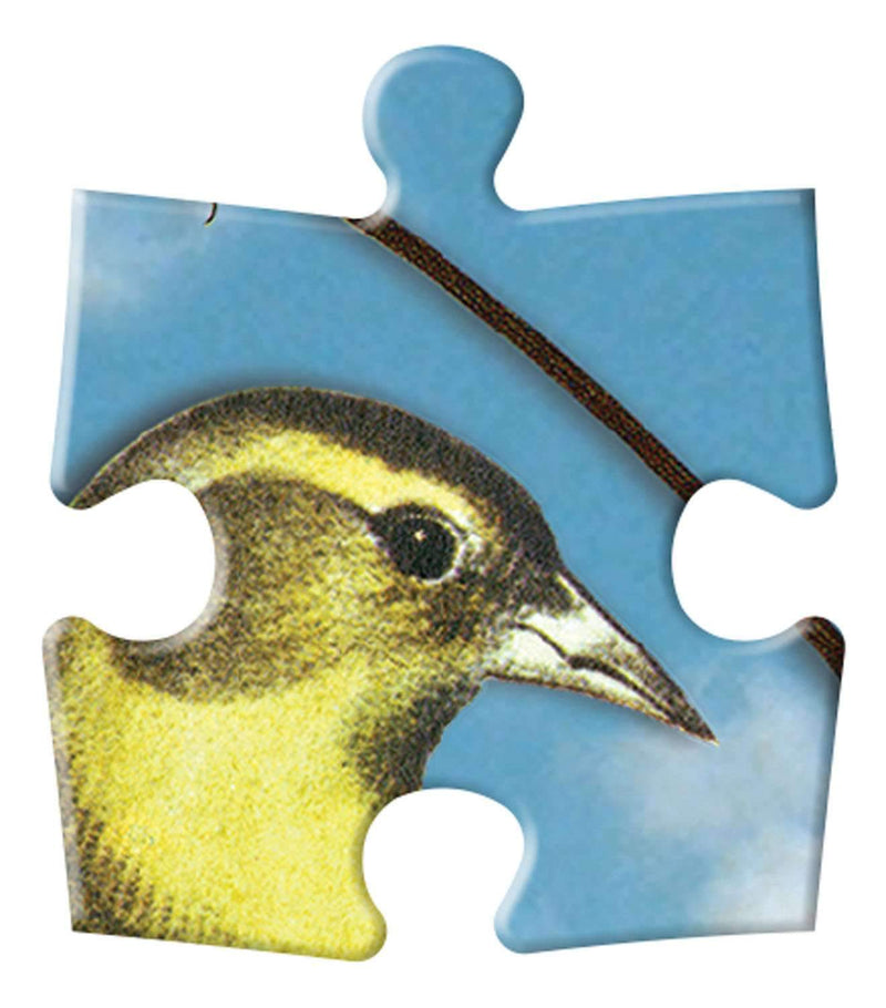 Birds Sinfonia Double-Sided 250 Piece Jigsaw Puzzle
