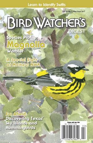 birdwatchers magazine may june