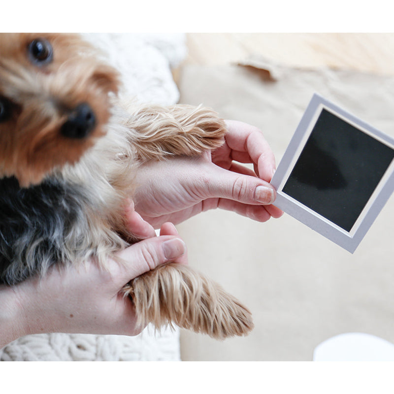 Pawprint Clean Touch Ink Pad - Black