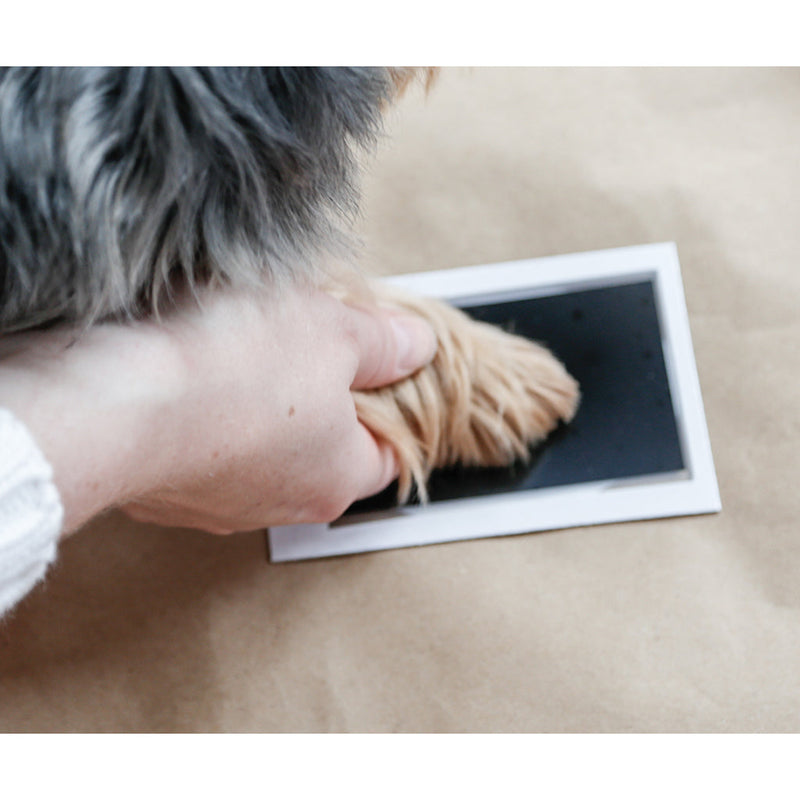 Pawprint Clean Touch Ink Pad - Black