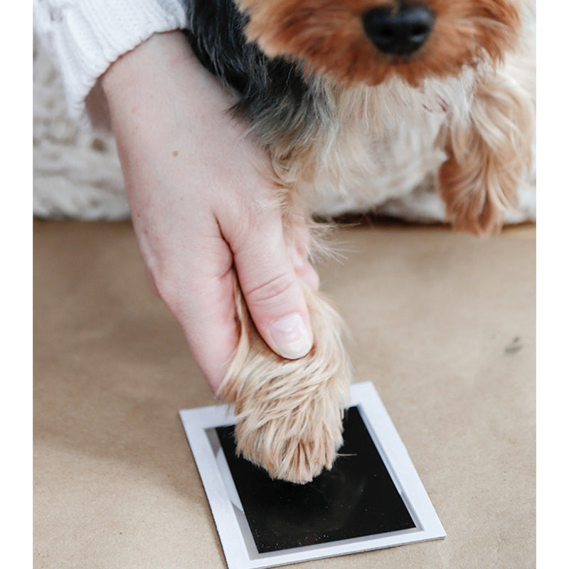 Pawprint Clean Touch Ink Pad - Black