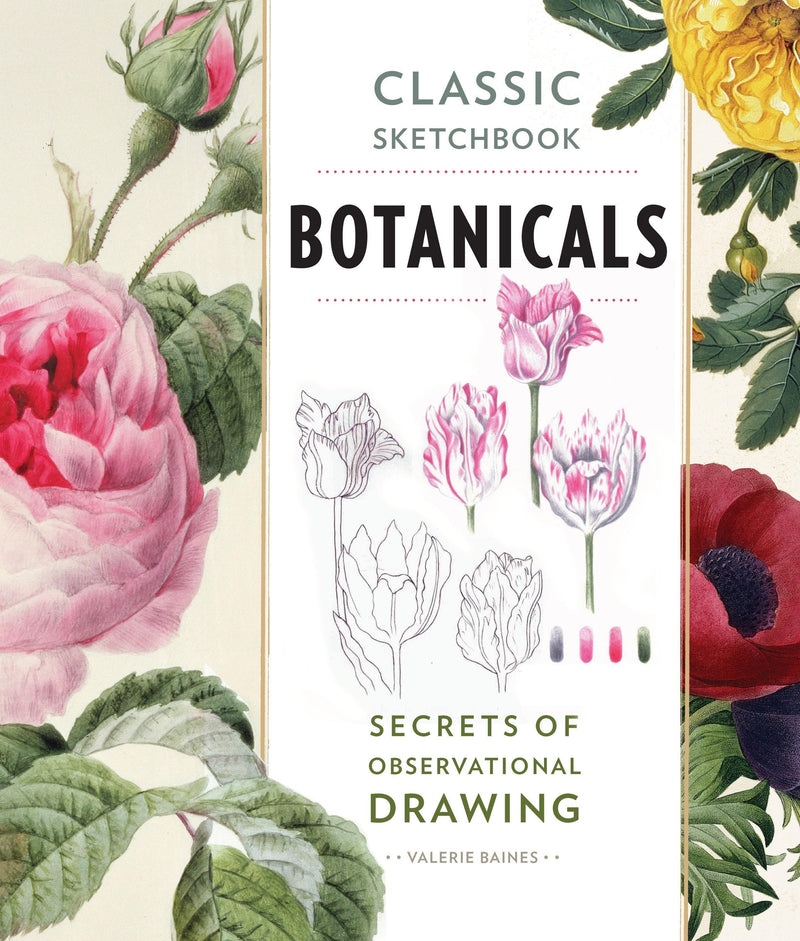 Classic Sketchbook Botanicals