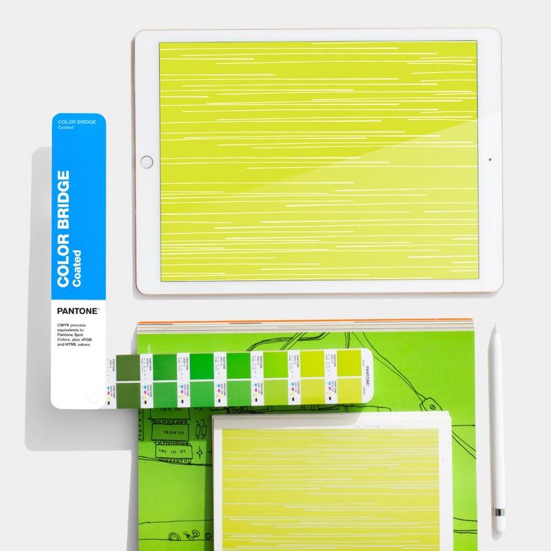 COLOR BRIDGE GUIDE | COATED