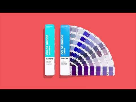 COLOR BRIDGE GUIDE | COATED