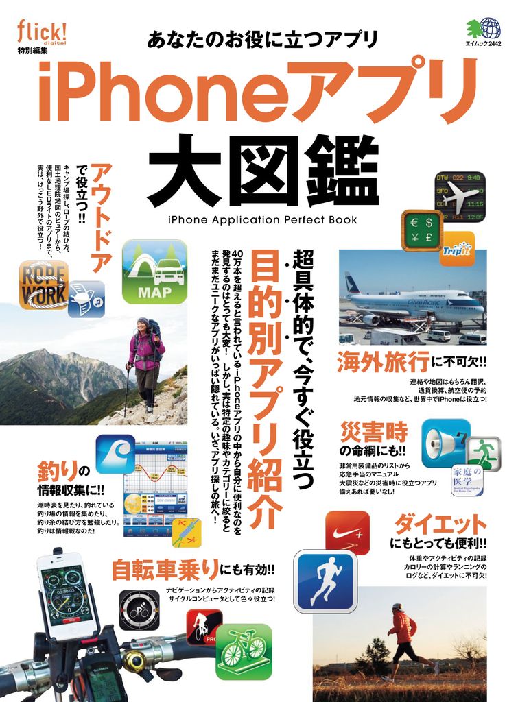 issue image