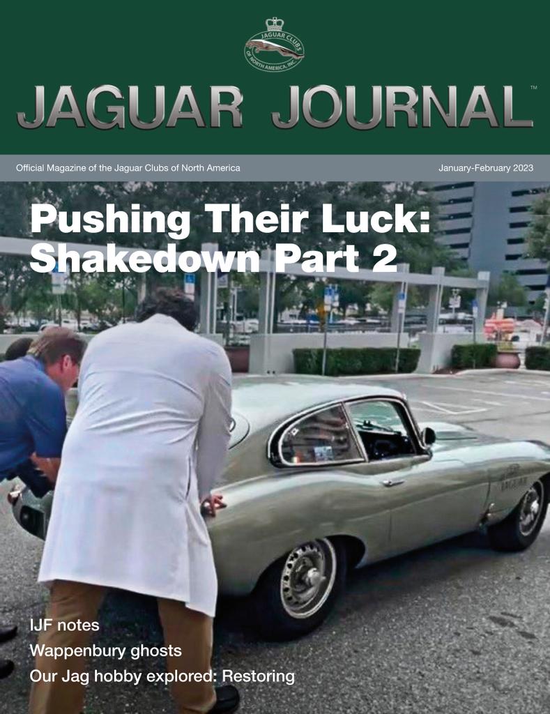 issue image