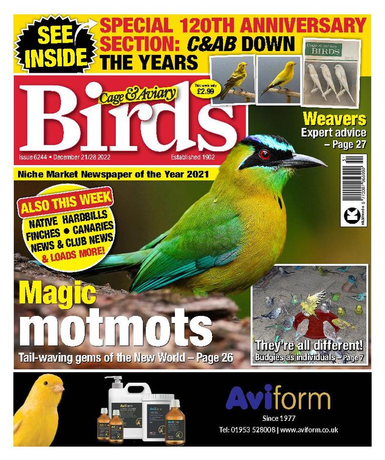 issue image
