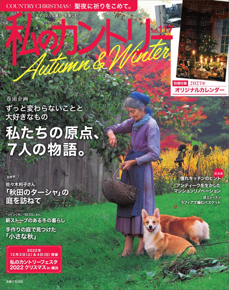issue image