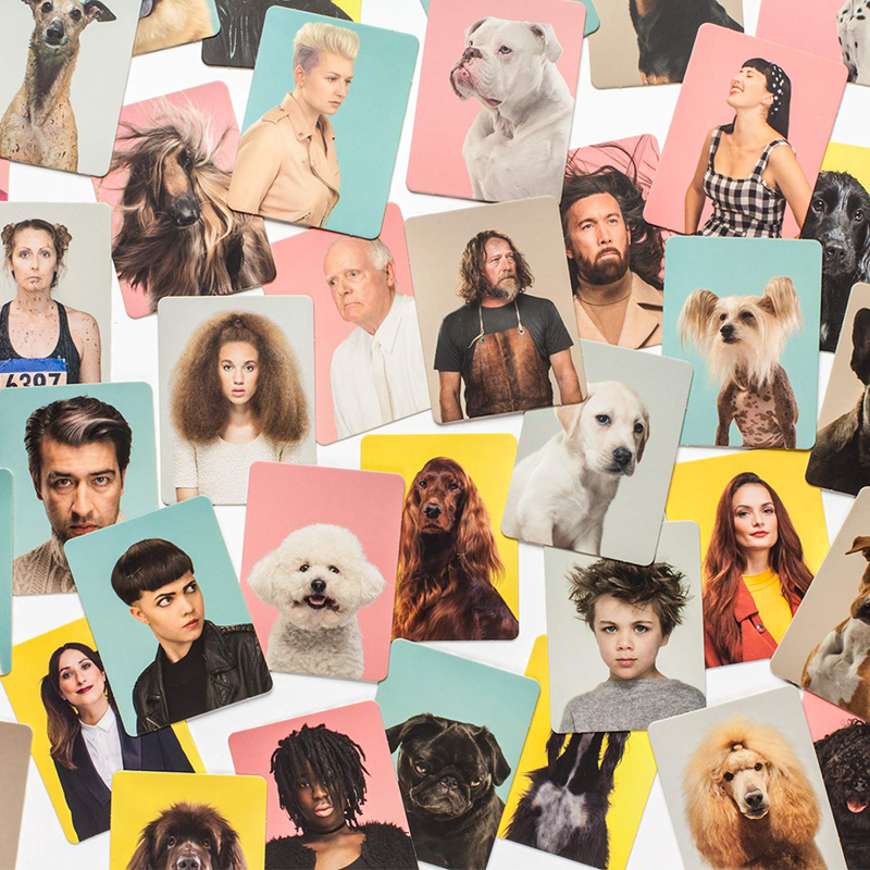 Do You Look Like Your Dog? Match Dogs with Their Humans: A Memory Game