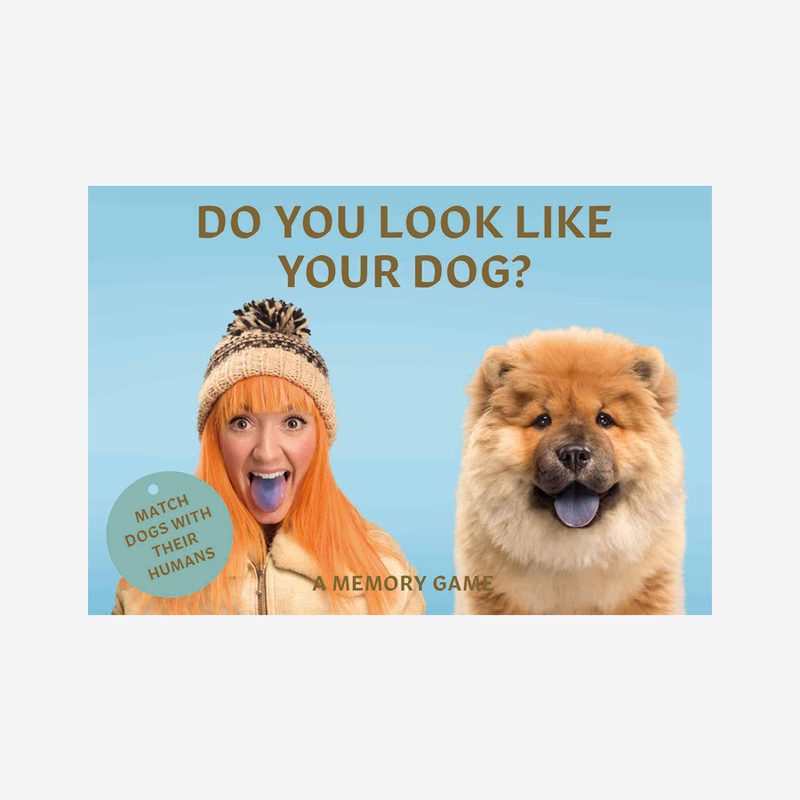 Do You Look Like Your Dog? Match Dogs with Their Humans: A Memory Game