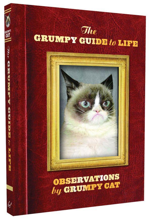 Grumpy Guide to Life