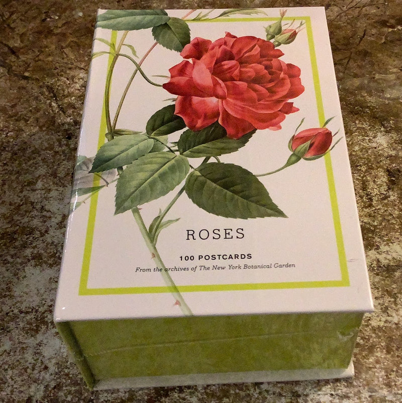 Roses 100 postcards