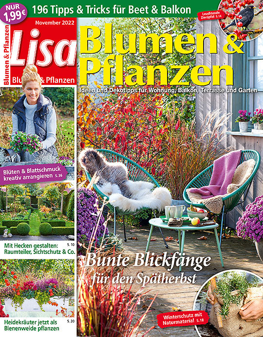 Lisa Blumen & Pflanzen Magazine (Germany)