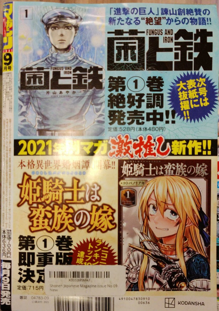 Bessatsu Shonen Magazine