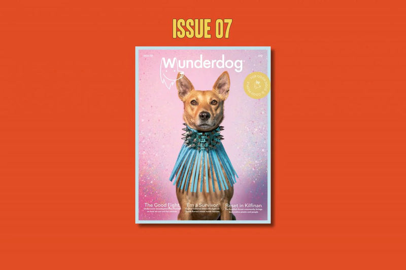 Wunderdog Magazine